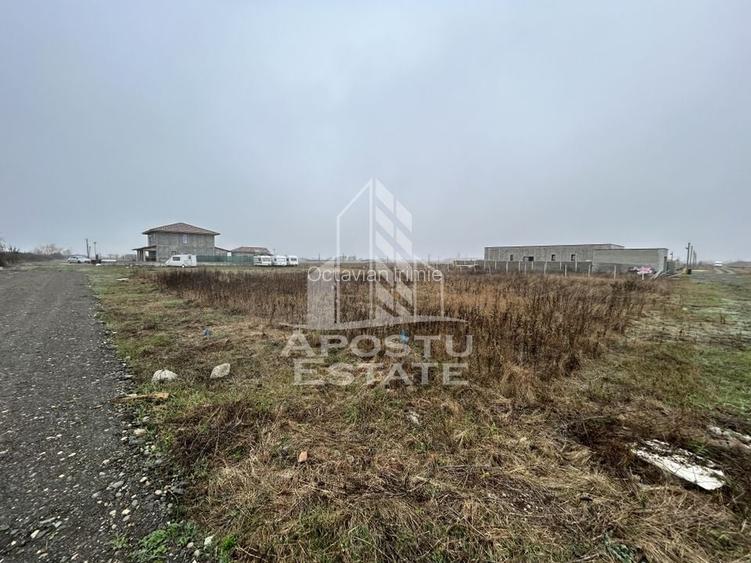 Teren 530  mp, Sacalaz, zona de case noi, zona PUZ Cosma.