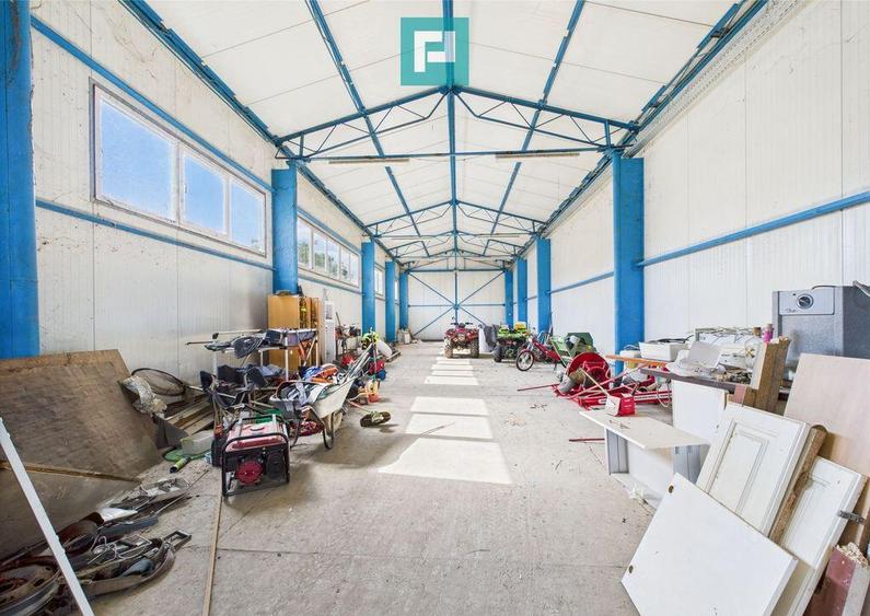 Cladire cu 5 camere cu teren ?i hala in Cenad - 8