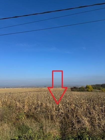 Teren agricol intravilan de 6668 mp, în Bogdan Vodă