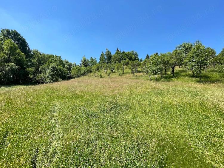 Teren de 5200 mp, în Ilva Mare