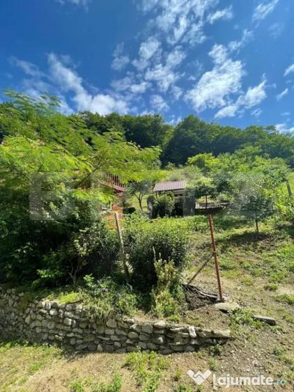 Casă cu 3 camere cu Teren 1470 Mp în Șugag
