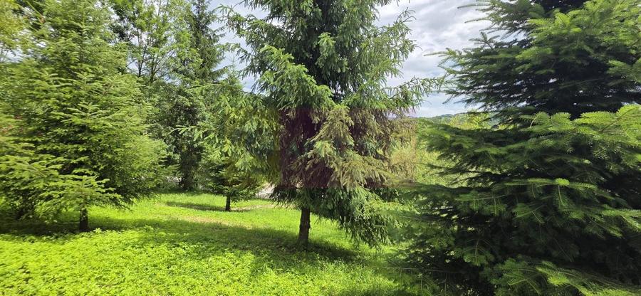Cabana cu 5 camere de vanzare in Provita - 30