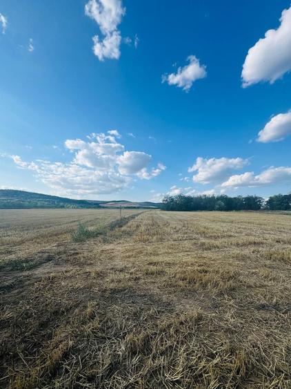 Teren agricol intravilan de 520 mp, în Fughiu