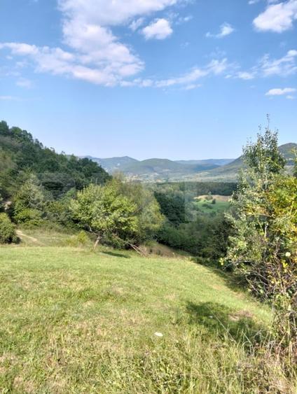 Teren Construcții intravilan de 70290 mp, în Poiana Ampoiului