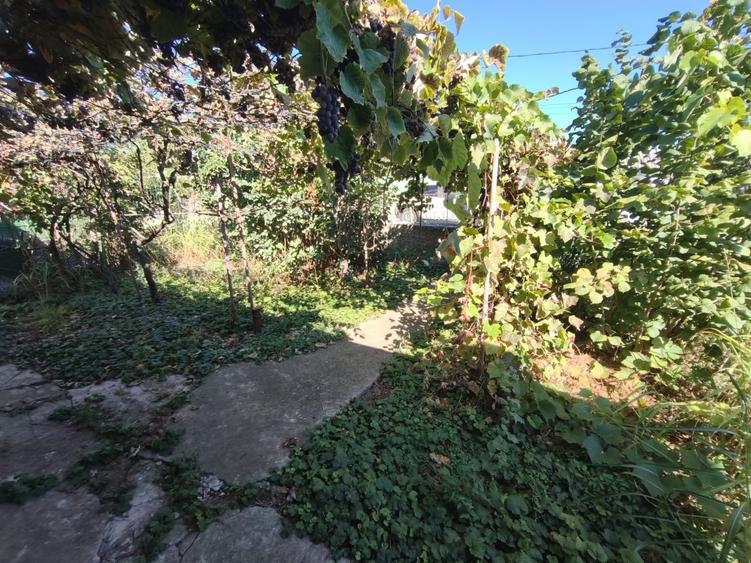 Casă Tradițională cu Teren Generos în Valu lui Traian - 9