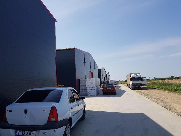 Centura Est hala noua 600mp pentru depozitare - 5