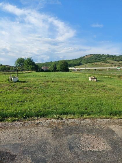 Vand teren Apoldu de jos - 2