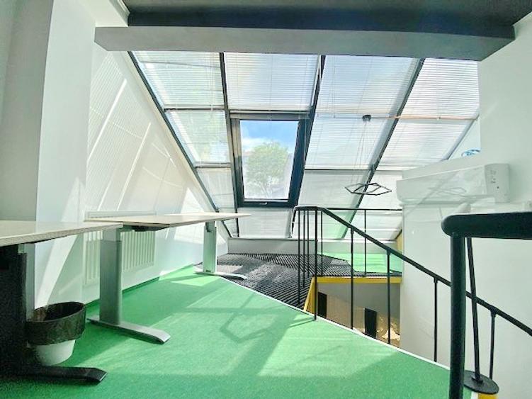 Cismigiu-Mircea Vulcanescu - 8