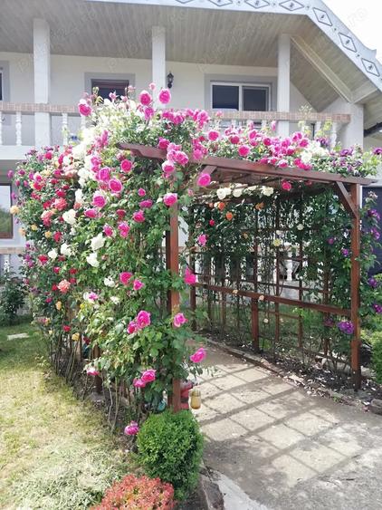 Urgent .Proprietar, parter la casa cu etaj, Mogosesti - Iasi, 10 km - 1