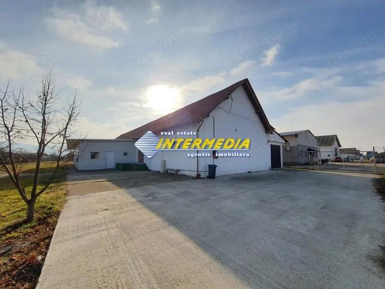 Hala 600 mp de inchiriat in zona Sebes cu birouri teren 2000 mp - 6