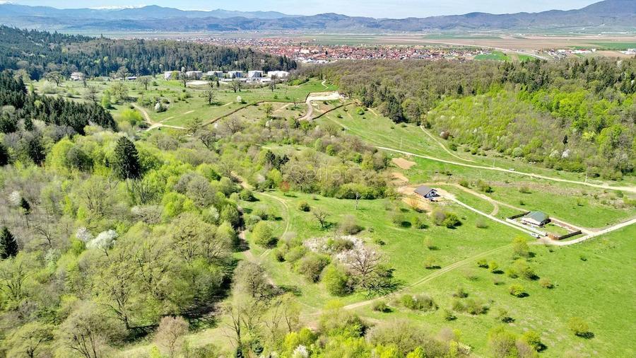 Teren Intravilan parcele 1000mp - 12