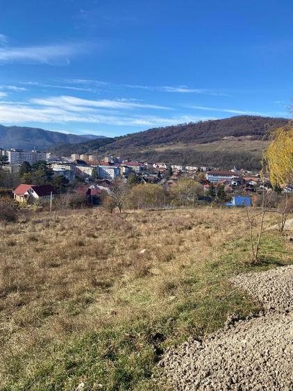 Vand teren darmanesti - 4