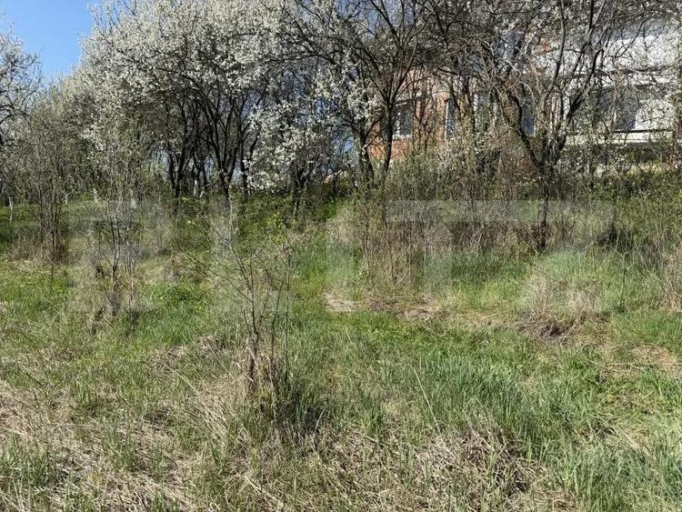 Teren intravilan in localitatea Criseni in suprafata de 2700 mp - 1