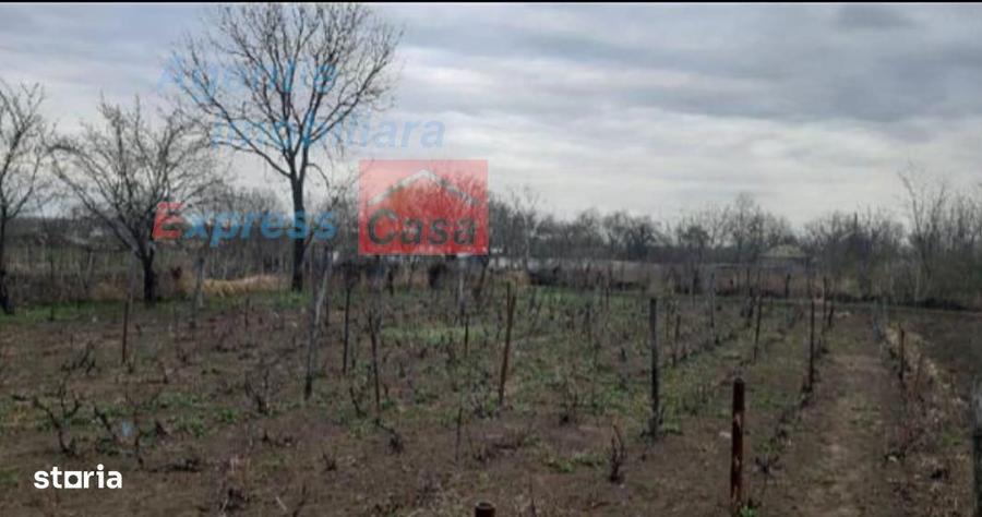 Teren de vanzare 3000 mp, Prisacani (27 km de IASI) - 3