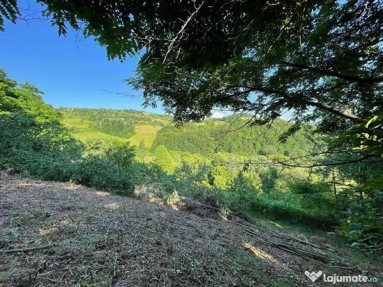 Teren zona turistica Rosia - 2