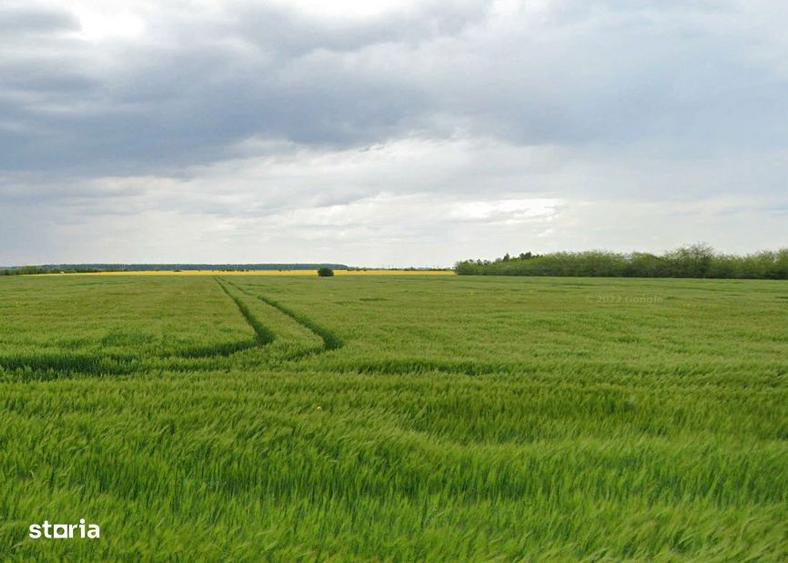 Oportunitate! 17.758 mp | Nou Terminal Aeroport | Intravilan | Tunari - 4