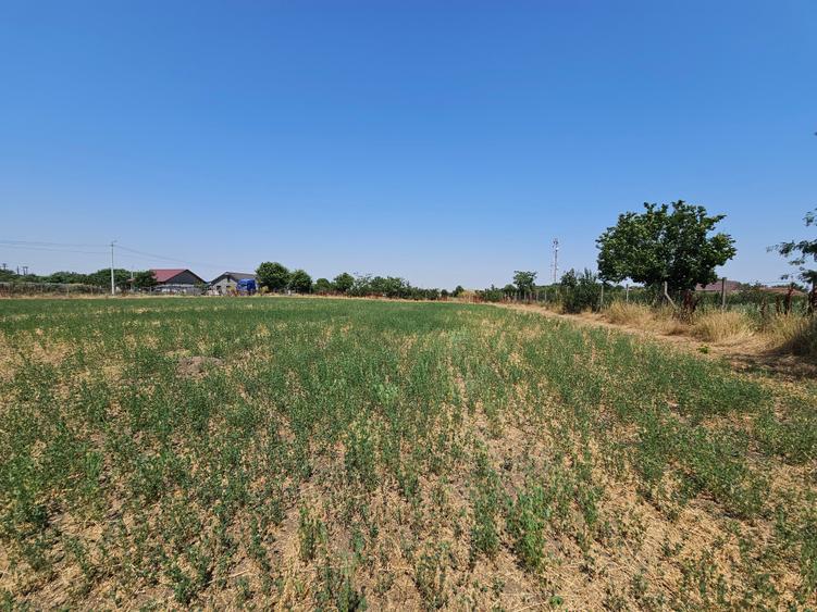 Teren 5.465 mp intravilan și front stradal – Topraisar, Constanța Comision Zero - 24