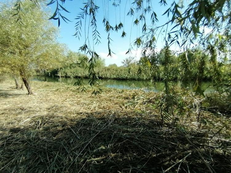 Casa si teren deschidere canal - 11