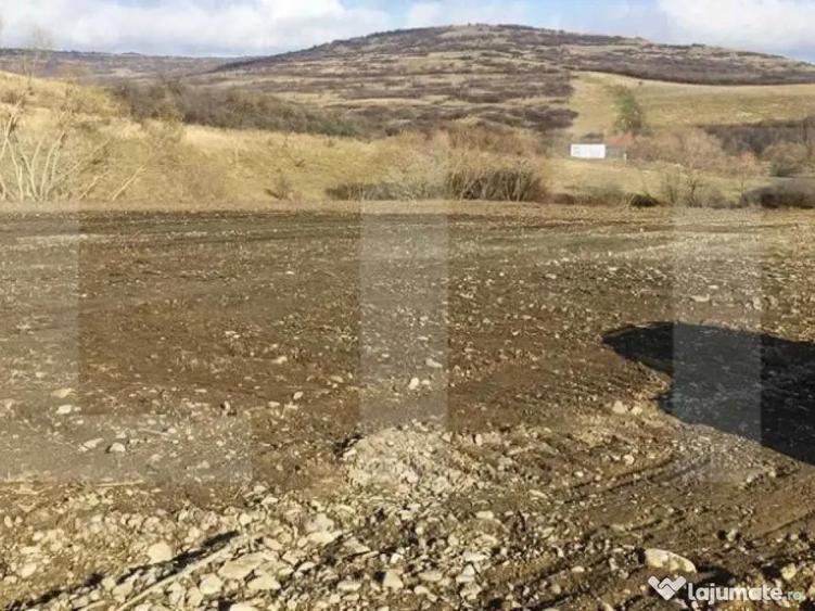 Teren intravilan 12.656 mp cu deschidere mare la drum op - 4