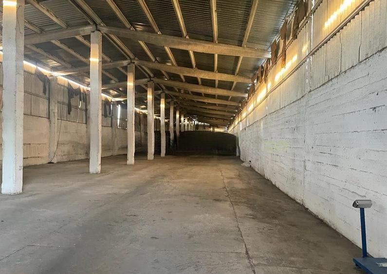 Spatii industriale , teren ,silozuri si Fabrica de nutret... - 7