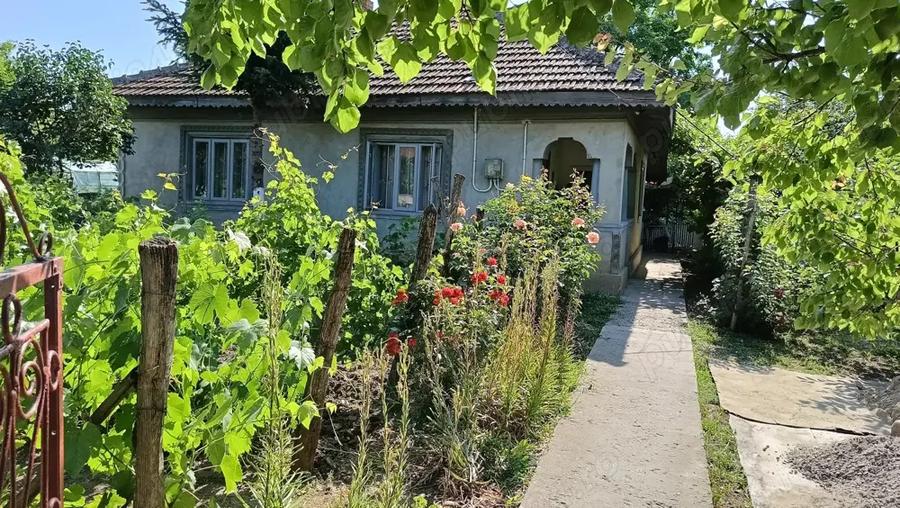 Vand casa comuna Gheorghe Lazar - 2