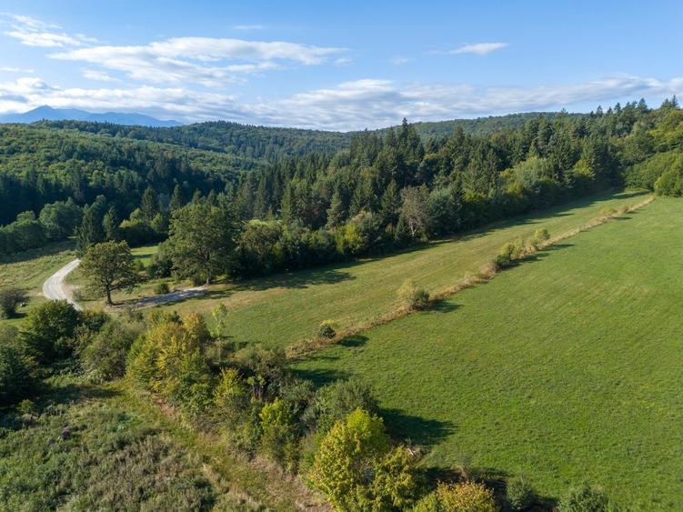 Teren intravilan 3300mp- Vulcan Brasov langa Lac si padure - zona turistica - 4