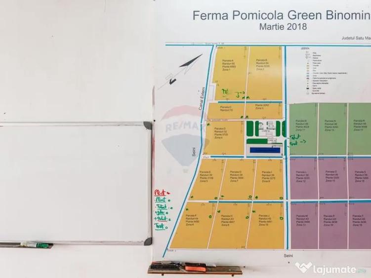 Plantatie de afin din Romania BUSINESS DE VANZARE - 2