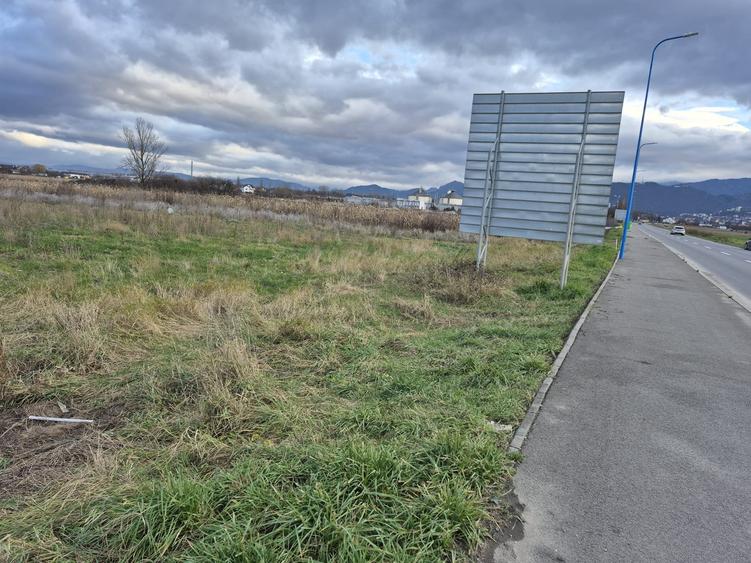 Teren intravilan  constructii stupini - 6