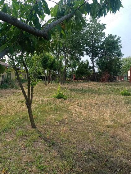 Vand teren intravilan(casa)Cioranca, Localitatea Movila Banului, Jud. Buzau - 6