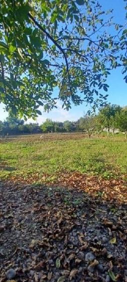 Vand 3413 mp teren intravilan - 6