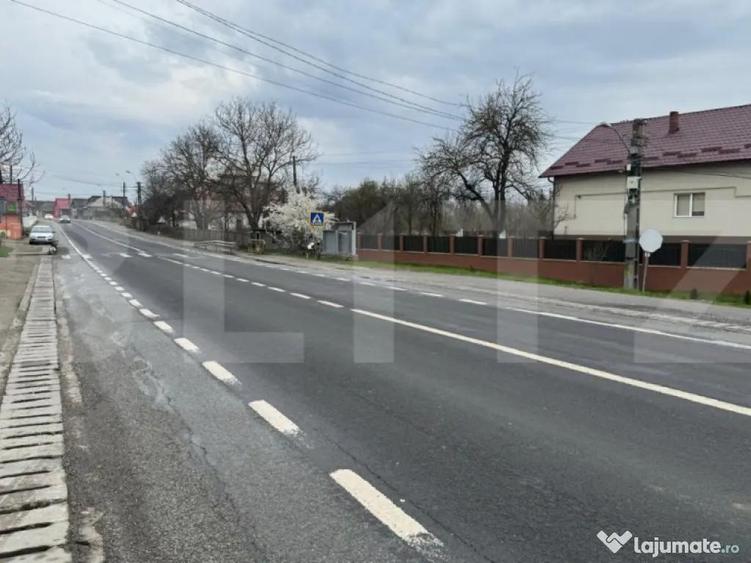 Teren Pentru Constructii 9292 mp- zona Cuzdrioara - 3