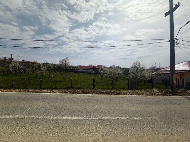 Teren de vanzare - 3