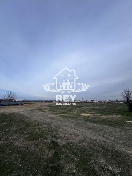 Teren Arabil Turnișor - Spre ferma de pui - 2