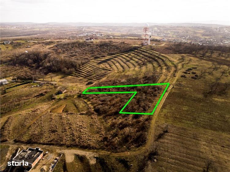 RECO Teren intravilan in zona Oncea - 4