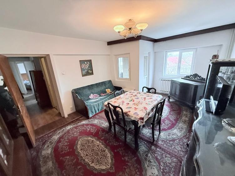 Propietar Drumul Sarii! - 1