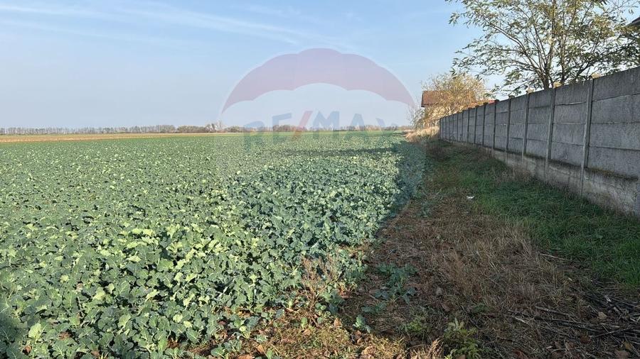 Teren intravilan de vanzare, 11.600 mp - Tarian, Girisul de Cris - 7