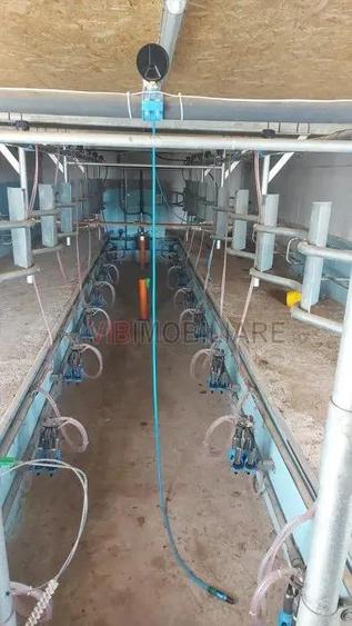 Ferma zootehnica func?ionala, populata cu peste 200 capete bovine, aproape de Sannicolau Mare - 1