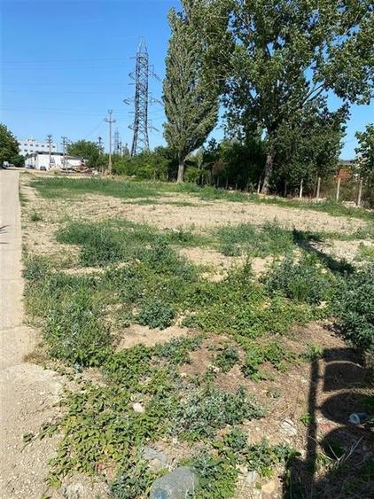 RECO Teren intravilan Calea Borsului - 2