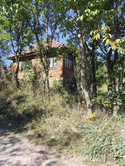 Casa din caramida cu gradina (40 ari) la tara in sat Valisoara,comuna Letca,judetul Salaj - 7