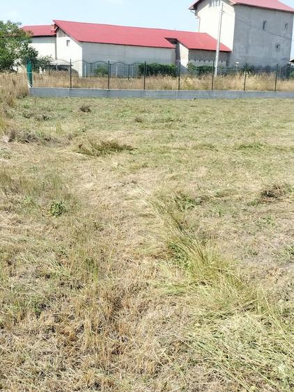 Vand teren in comuna Albota - 4