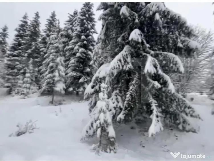 Teren 10,75 ari, intravilan Colibita, cu utilitati - 4