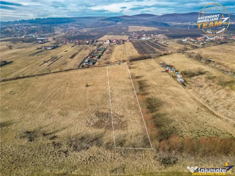 Teren extravilan de 5.800 mp in Sfantu Gheorghe:oportunitate - 4
