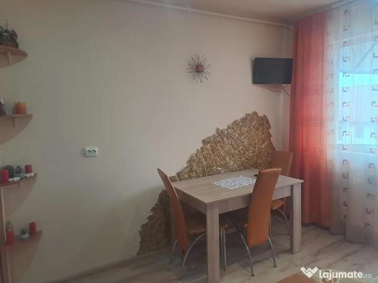 Apartament de inchiriat 2 camere aproape padurea Cetatea Fetei - 5