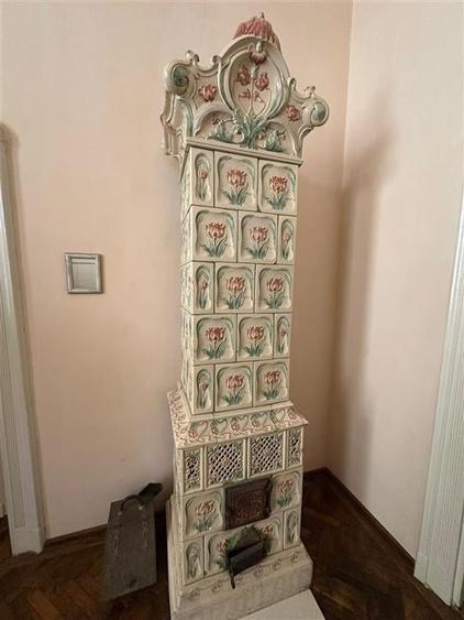 Conac Unicat Timis - 4