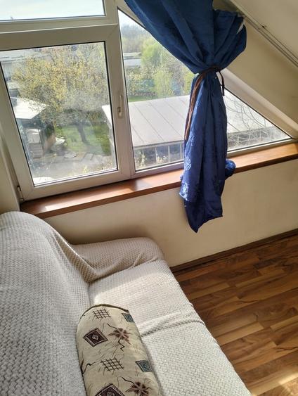 Titan, Nicolae Grigorescu - 7