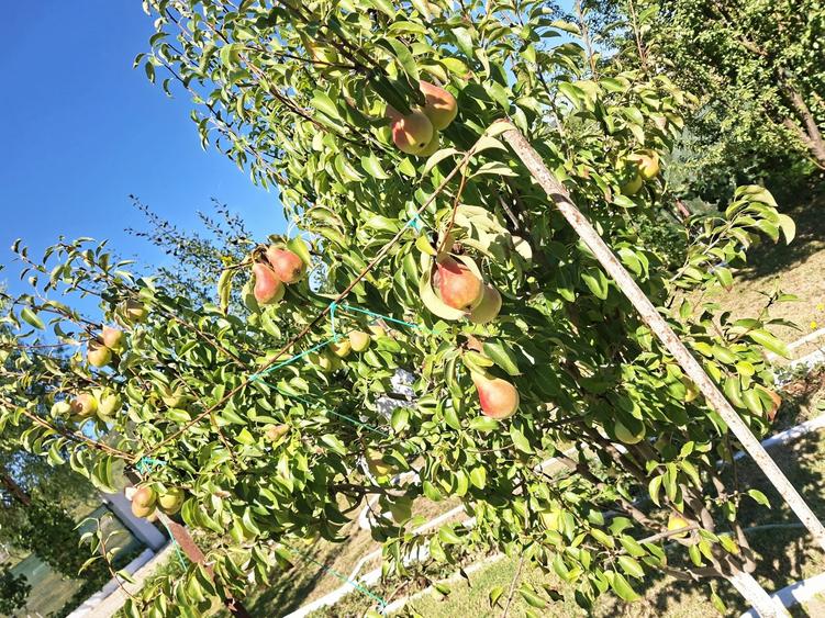 Casă / Vilă Bascov , construcție "de proprietar" , mobilată/utilată ! - 22