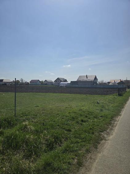 teren intravilan tibeni - 3