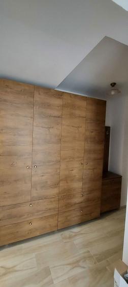 Garsoniera de inchiriat Complex Moghioros Park - 3