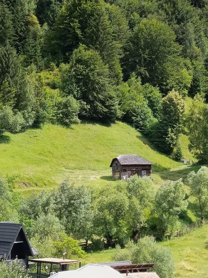 Teren intravilan - 4