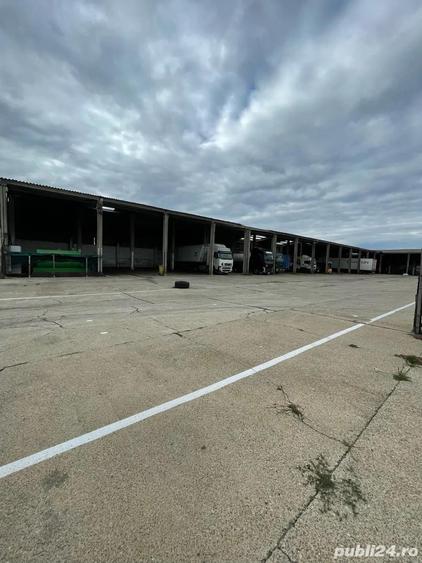 Teren industrial cu platforma betonata si Hale Industriale - 9